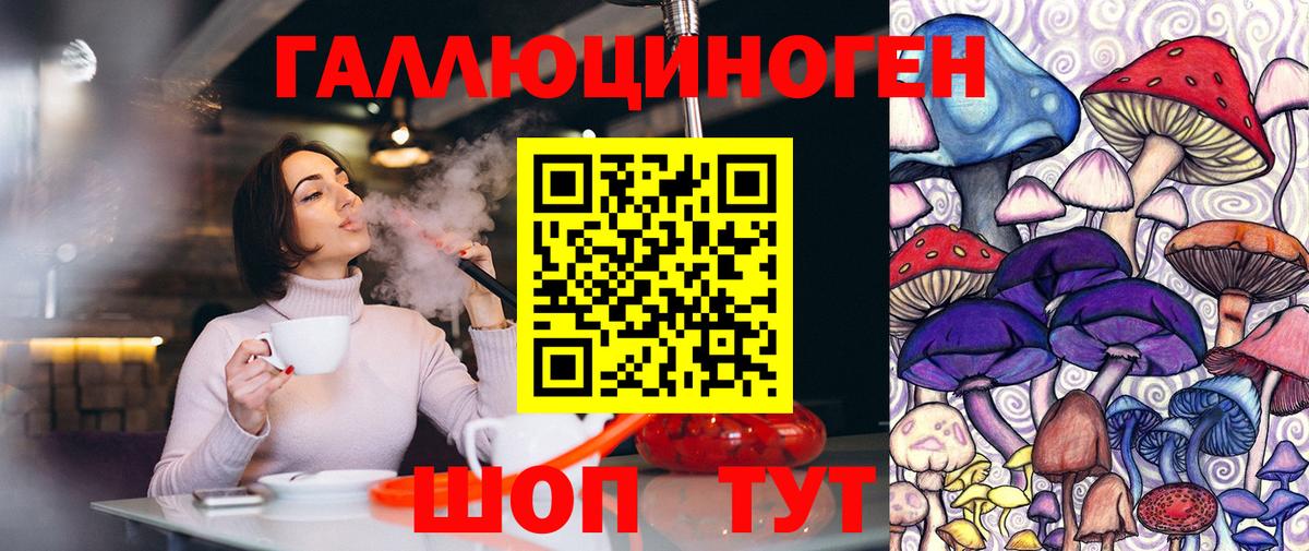 Псилоцибиновые грибы GOLDEN TEACHER Дедовск