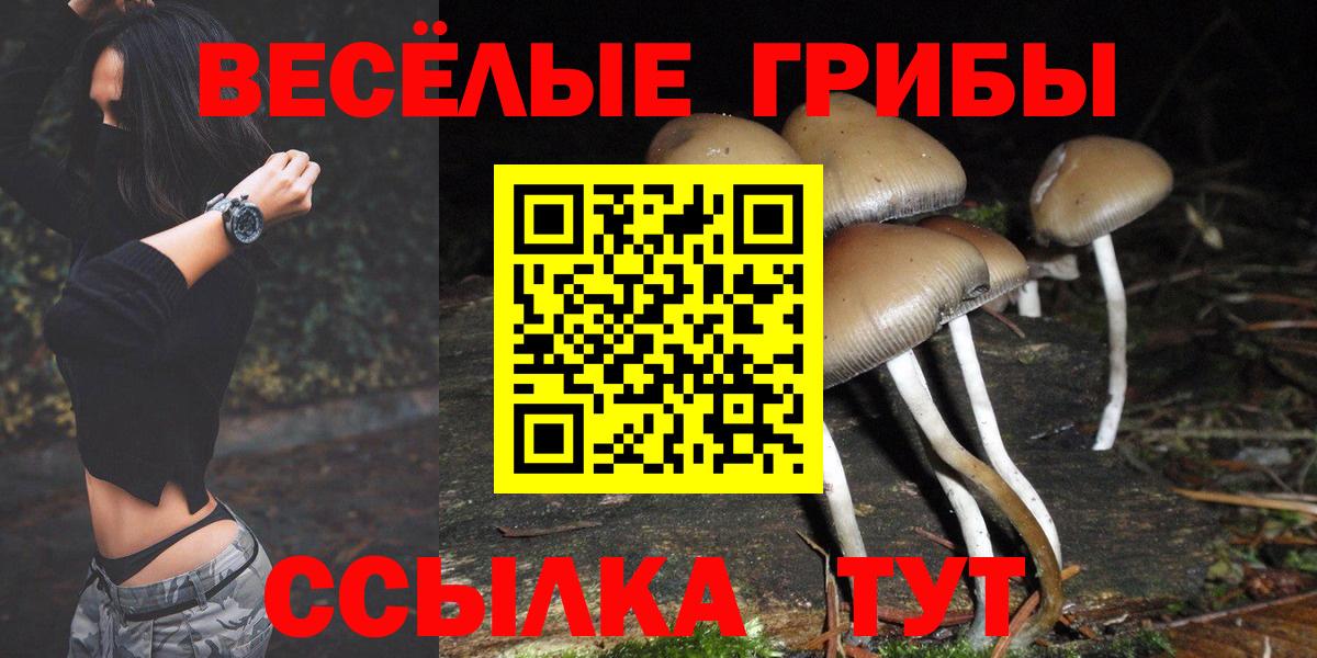 Псилоцибиновые грибы MAGIC MUSHROOMS  Вход с VPN  Дедовск  Псилоцибиновые грибы MAGIC MUSHROOMS 